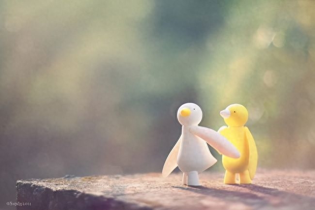 浅浅喜，淡淡爱！且行且珍惜(图4)