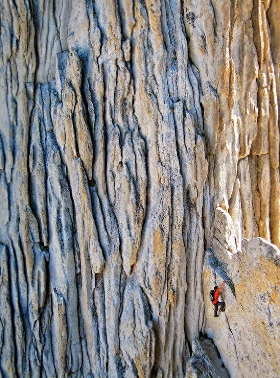 奥斯卡最佳纪录片《徒手攀岩》：不要控制恐惧，而要消除恐惧(图35)