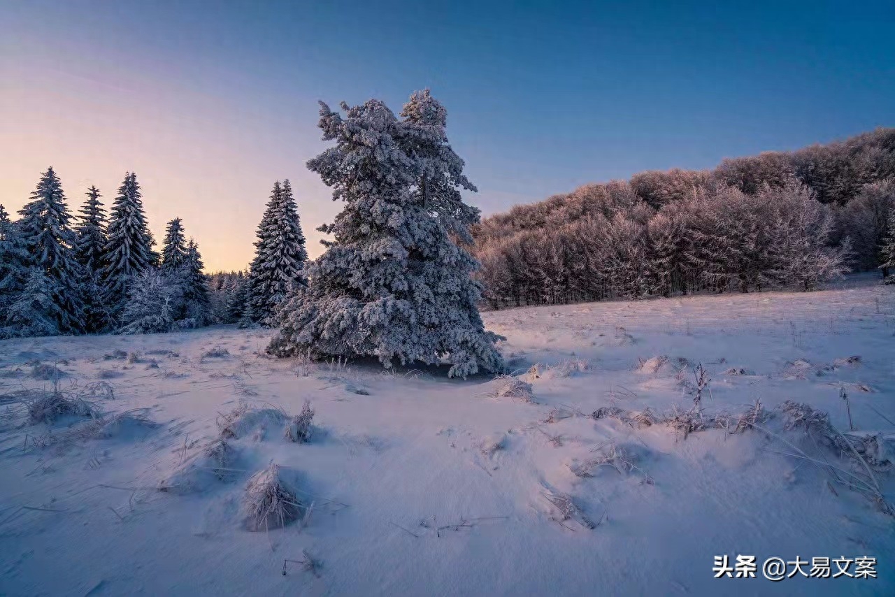 人生感悟励志正能量，不怕期望飘渺，幻想虚无，只愿那片的天空(图1)