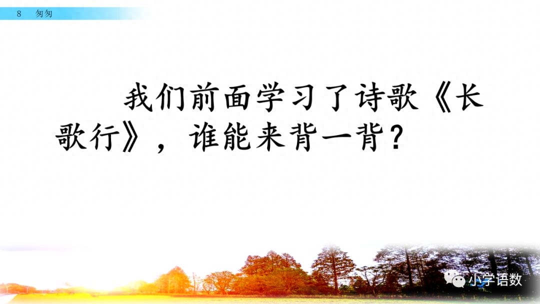部编版六年级语文下册第八课《匆匆》知识点及课堂测试题(图8)
