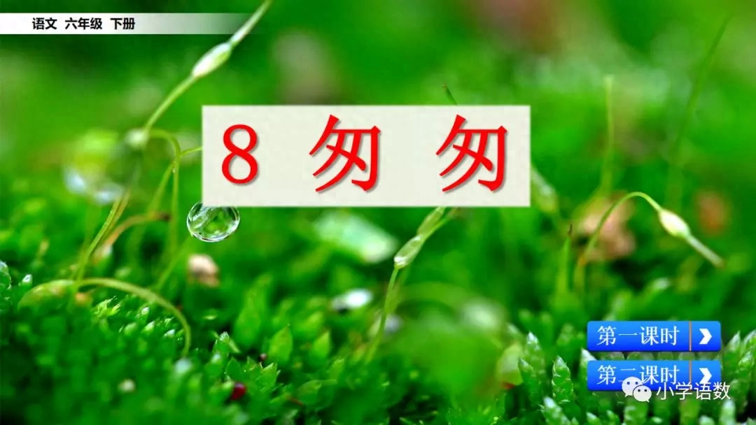 部编版六年级语文下册第八课《匆匆》知识点及课堂测试题(图10)