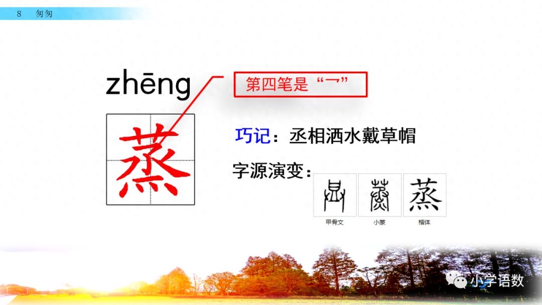 部编版六年级语文下册第八课《匆匆》知识点及课堂测试题(图18)