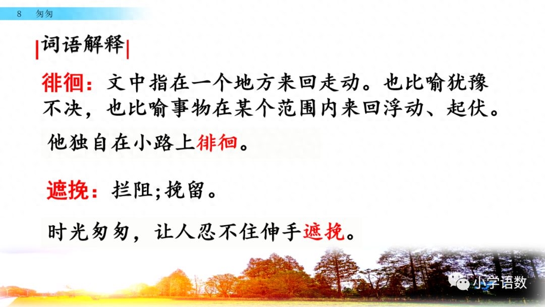 部编版六年级语文下册第八课《匆匆》知识点及课堂测试题(图20)