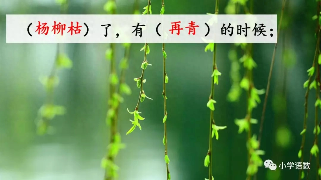 部编版六年级语文下册第八课《匆匆》知识点及课堂测试题(图40)