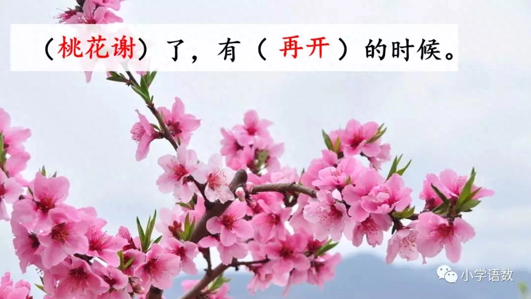 部编版六年级语文下册第八课《匆匆》知识点及课堂测试题(图41)