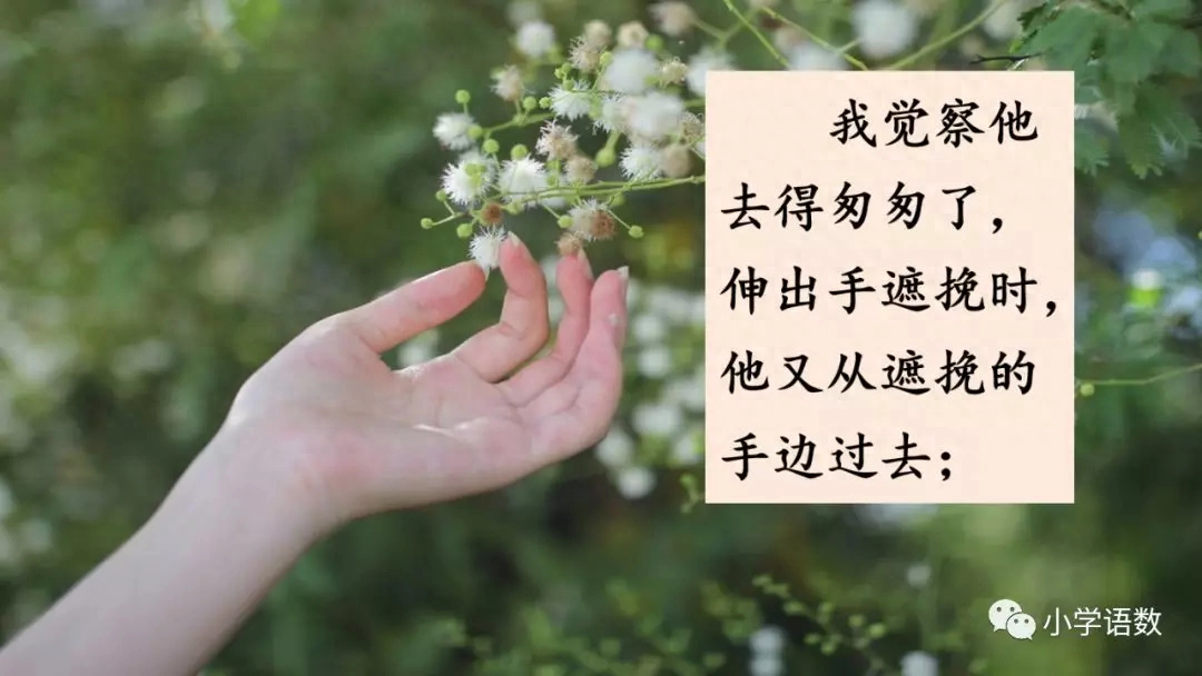 部编版六年级语文下册第八课《匆匆》知识点及课堂测试题(图54)