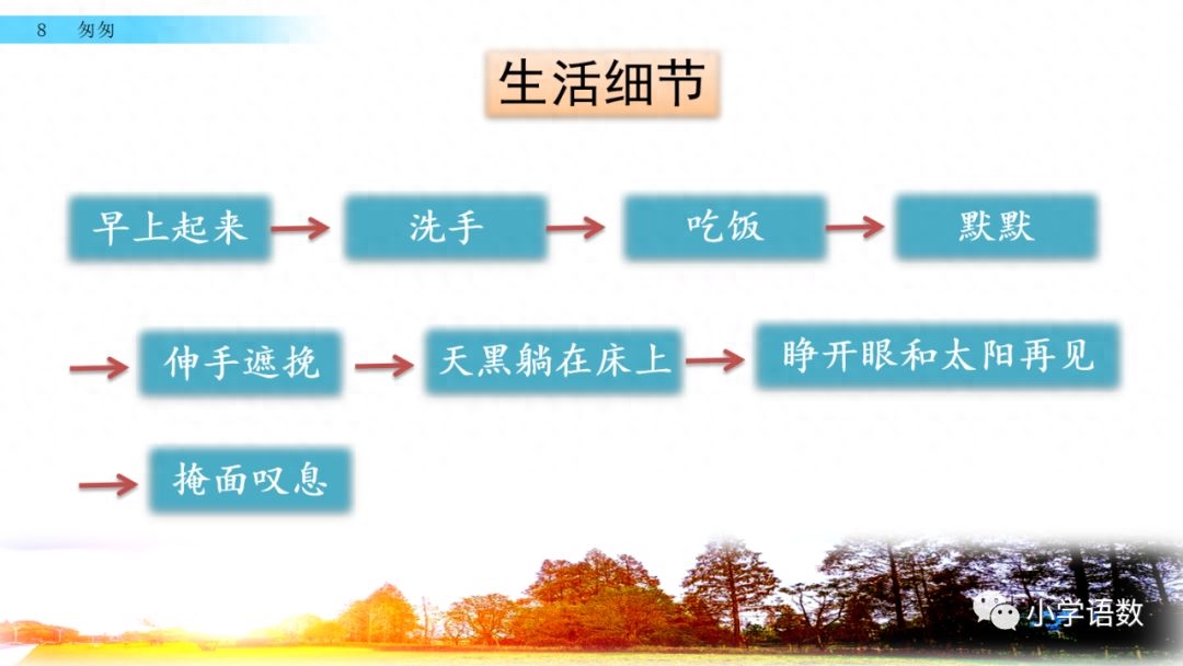 部编版六年级语文下册第八课《匆匆》知识点及课堂测试题(图58)