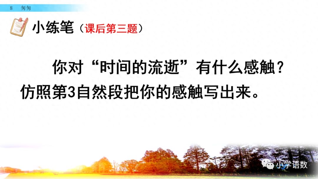 部编版六年级语文下册第八课《匆匆》知识点及课堂测试题(图61)