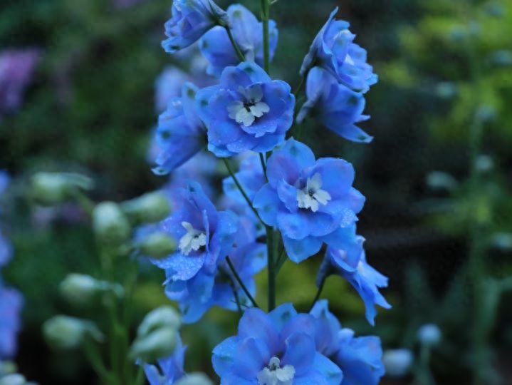 部编版七年级上册课内文言文知识梳理(图1)