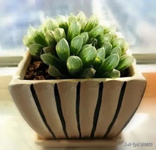 女人“放不下”一个男人，会有以下5种表现，第二种最明显，准！(图5)