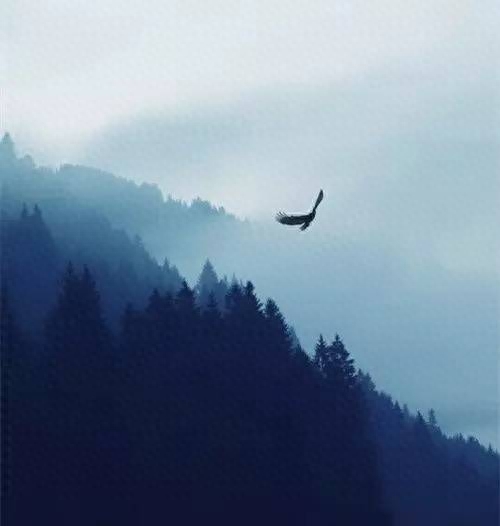 《我爱这土地》（艾青）丨那些年，我们一起读过的课文(图9)