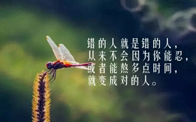 蓦然回首，我己不再年少(图5)