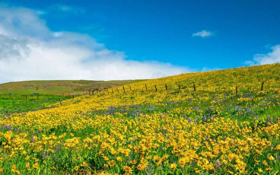 缘分天注定，聚散不由人(图5)