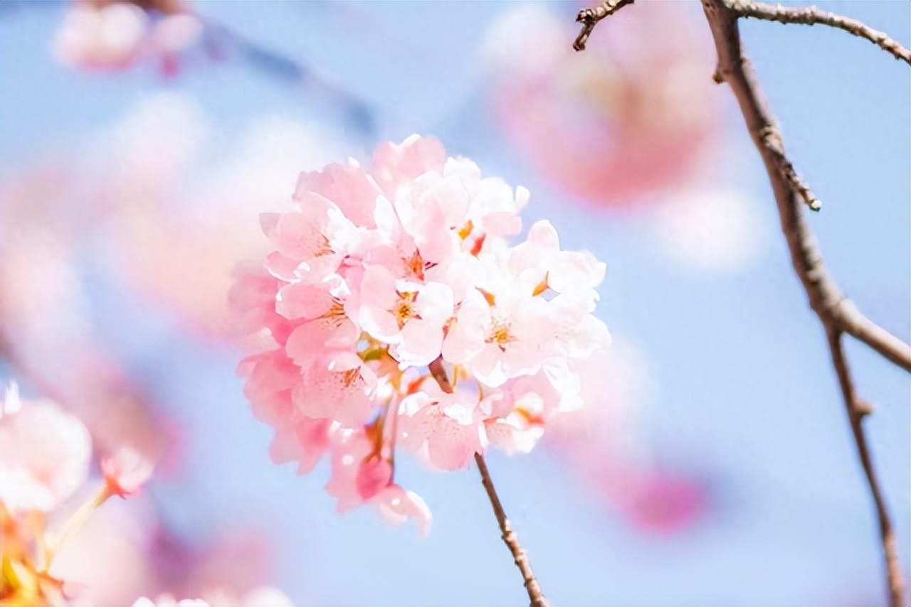 缘分，命中注定，一切不由人(图4)