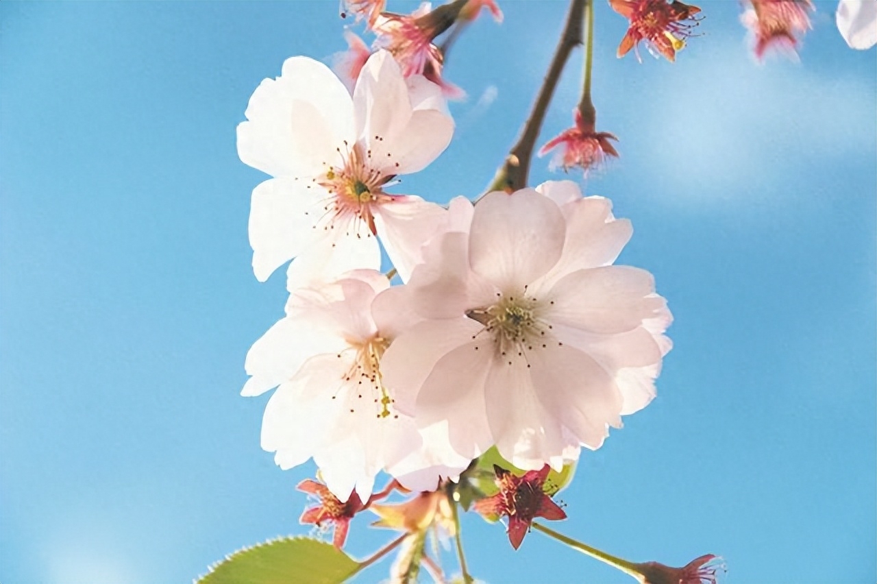 缘分，命中注定，一切不由人(图5)