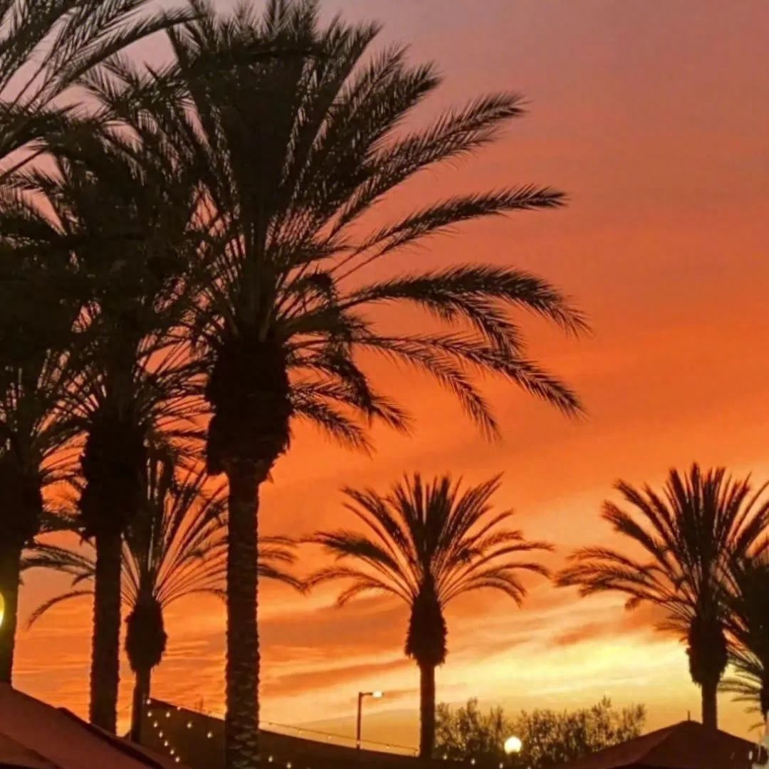 只靠缘分才能看见的高级感文案(图2)