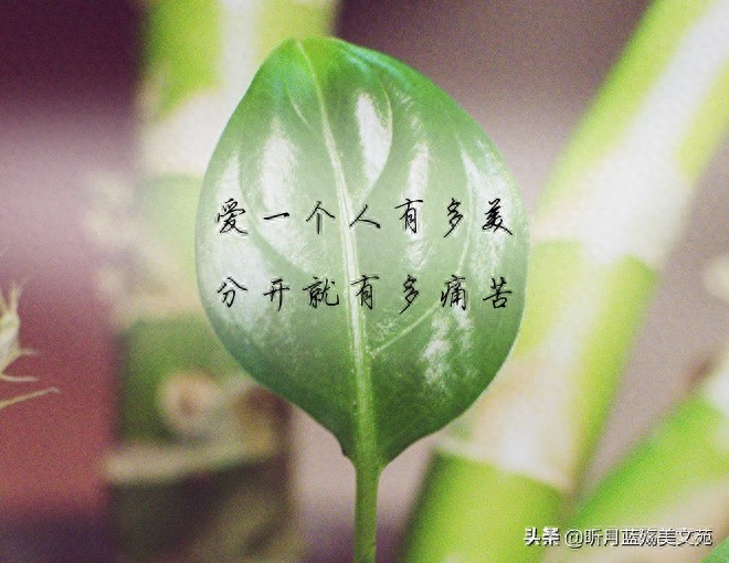 有一种缘分，命中早已注定(图1)