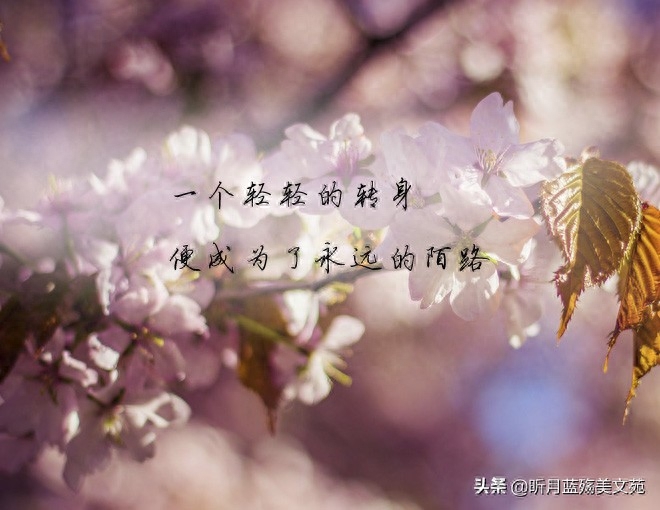 有一种缘分，命中早已注定(图3)