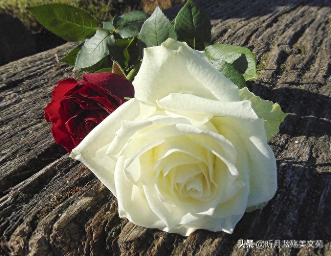 有一种缘分，命中早已注定(图4)