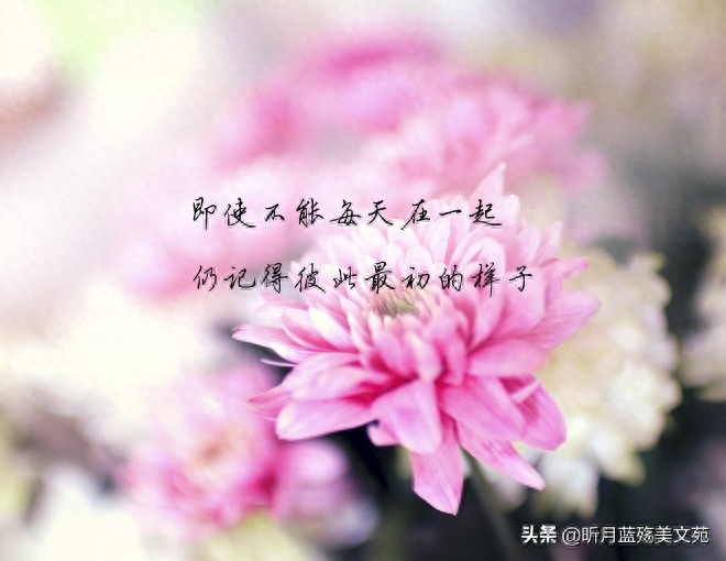 有一种缘分，命中早已注定(图5)