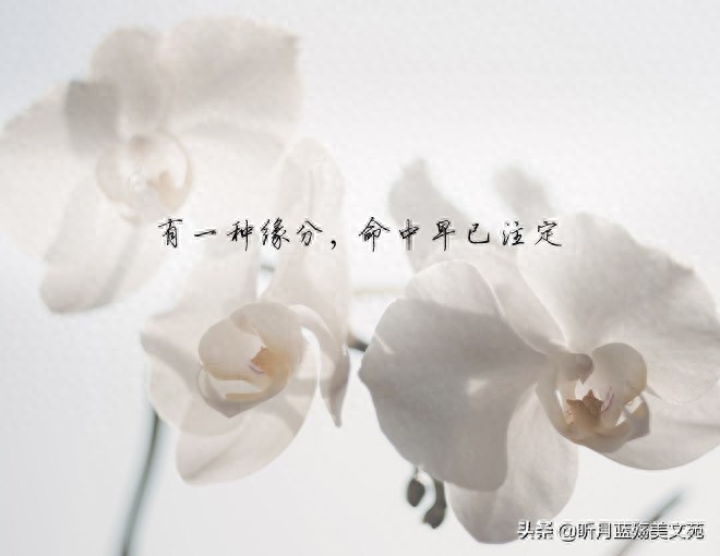 有一种缘分，命中早已注定(图6)