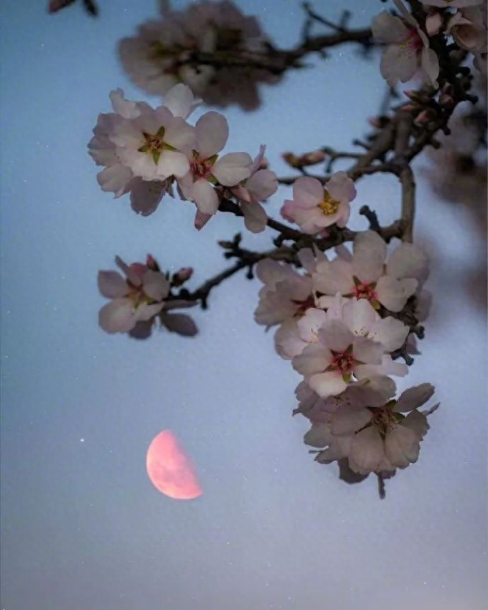 今日名言：不是发自内心的东西，就不能带来真正的改变(图3)