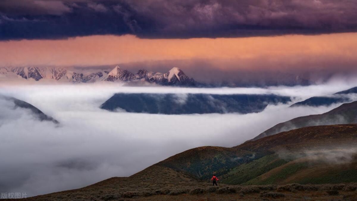 做事的最高境界，就是主动做不喜欢的事(图1)