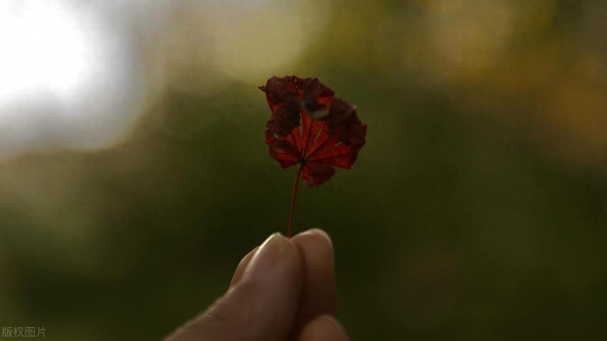 做事的最高境界，就是主动做不喜欢的事(图2)