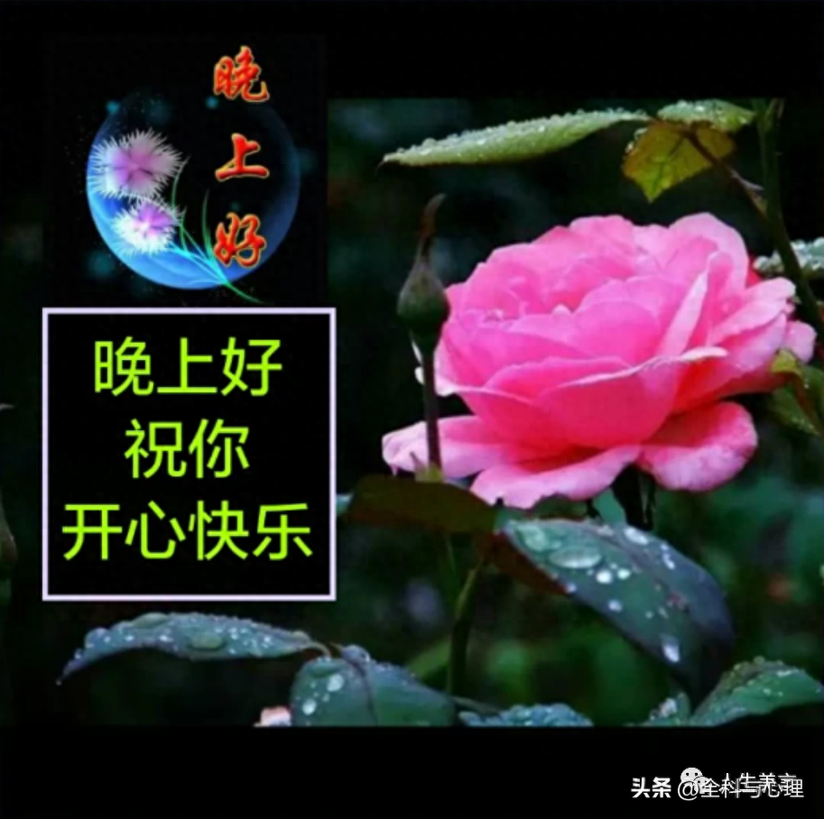 正能量晚上好短句问候，晚安励志经典文案(图3)