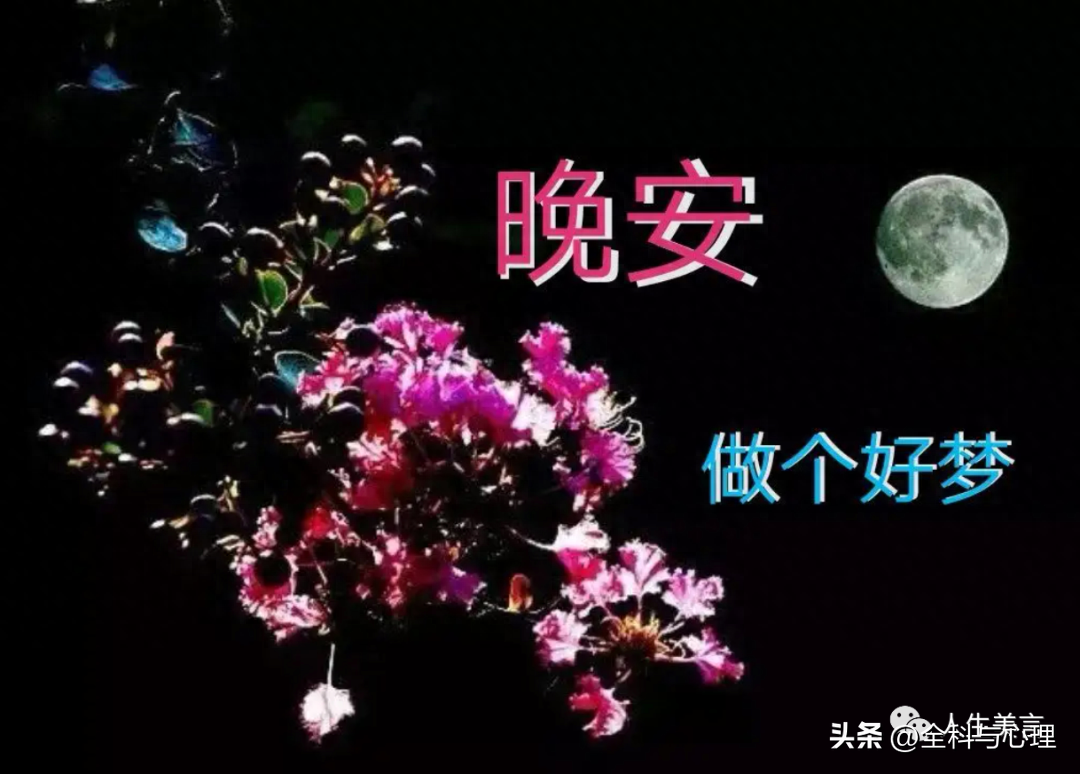 正能量晚上好短句问候，晚安励志经典文案(图4)