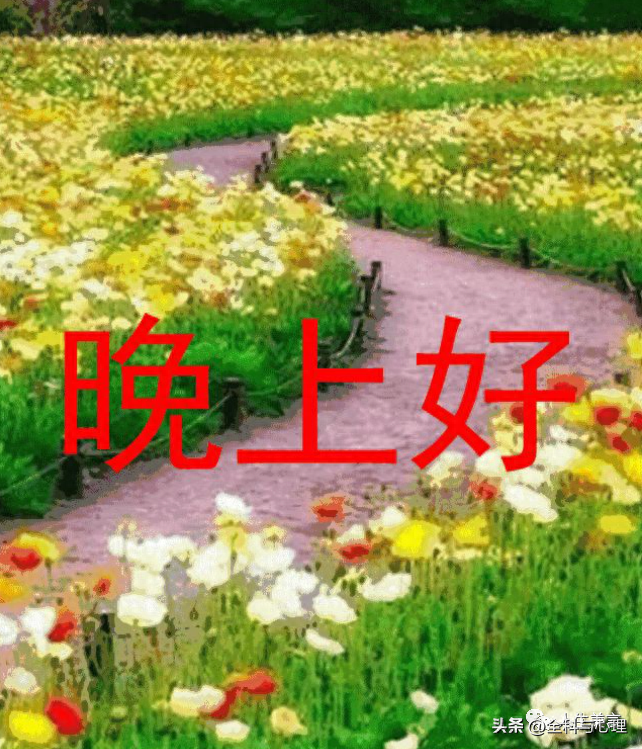 正能量晚上好短句问候，晚安励志经典文案(图5)