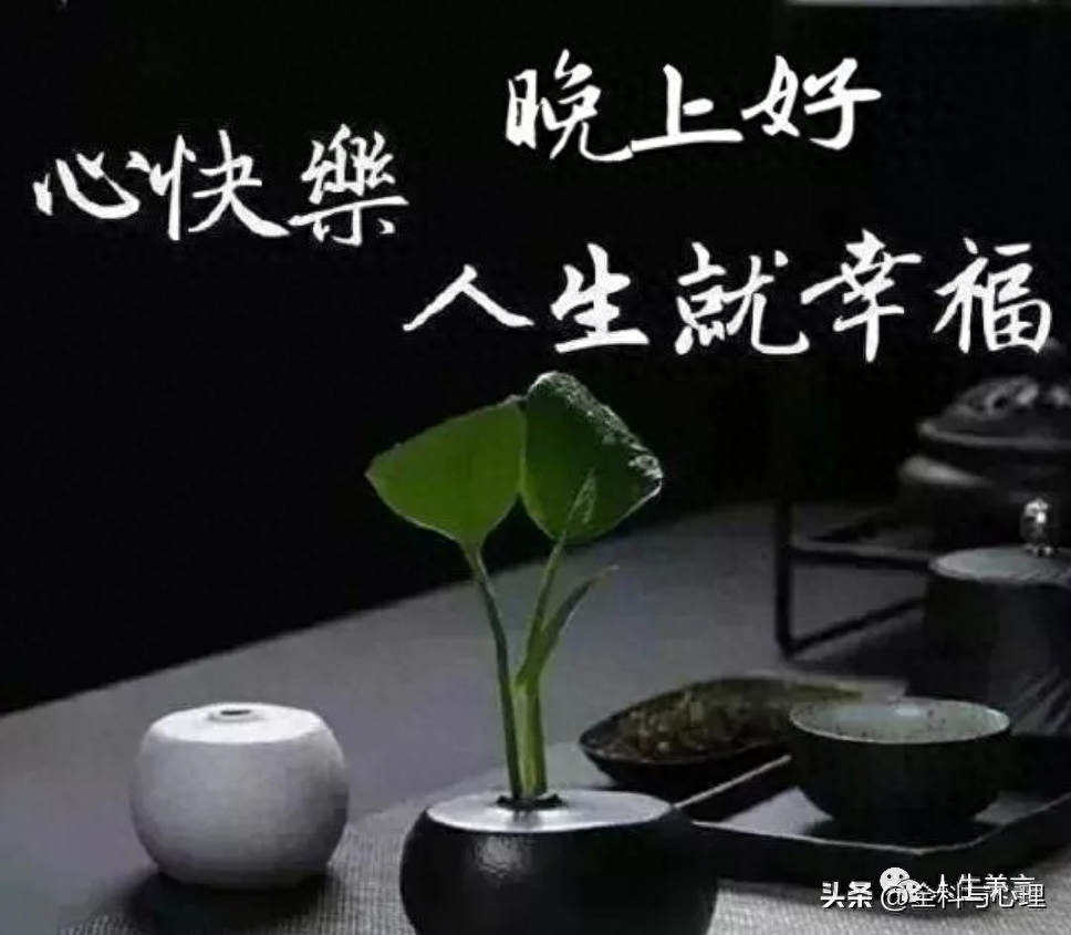 正能量晚上好短句问候，晚安励志经典文案(图8)