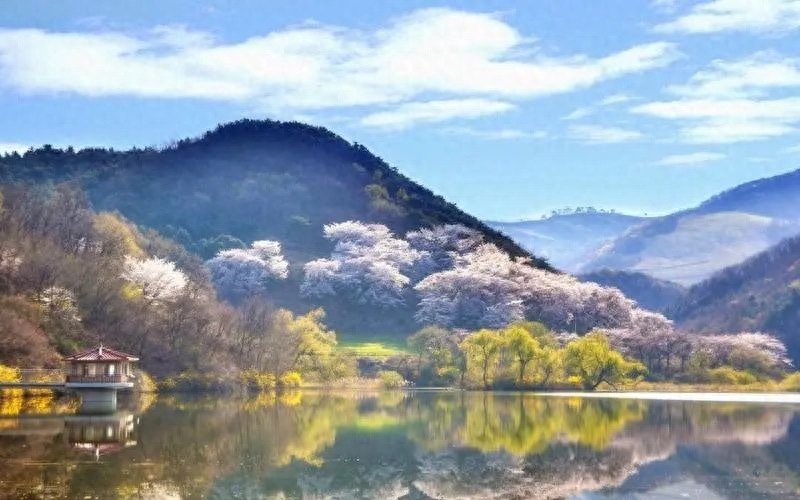 心韵独唱：单相思的情绪(图3)