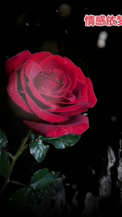 暗示“我喜欢你”的告白句子： 1……(图1)