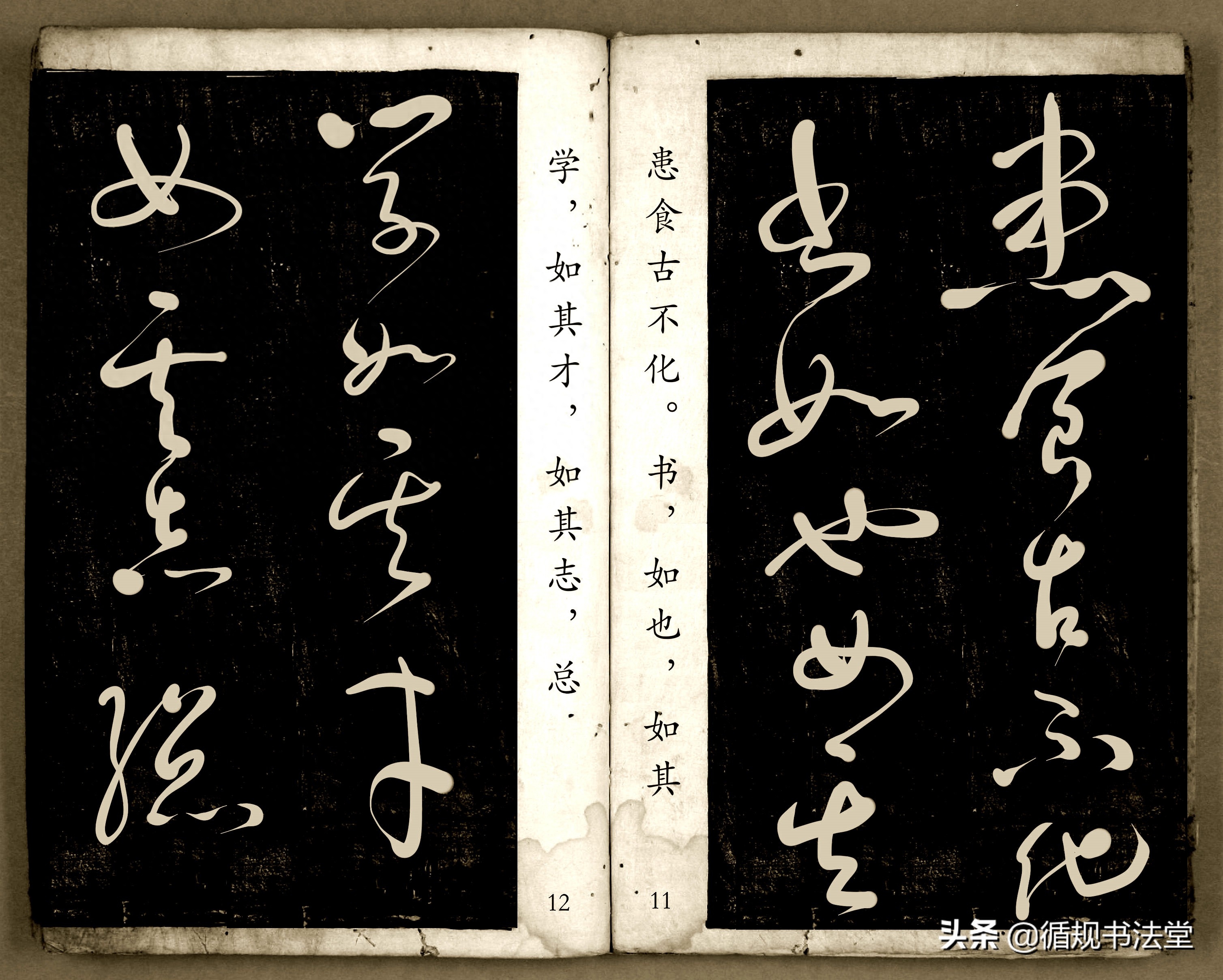 书法爱好者首选读物:高进原版草书集《书法金句100句》,非常棒(图7) 书法爱好者首选读物:高进原版草书集《书法金句100句》,非常棒(图7)