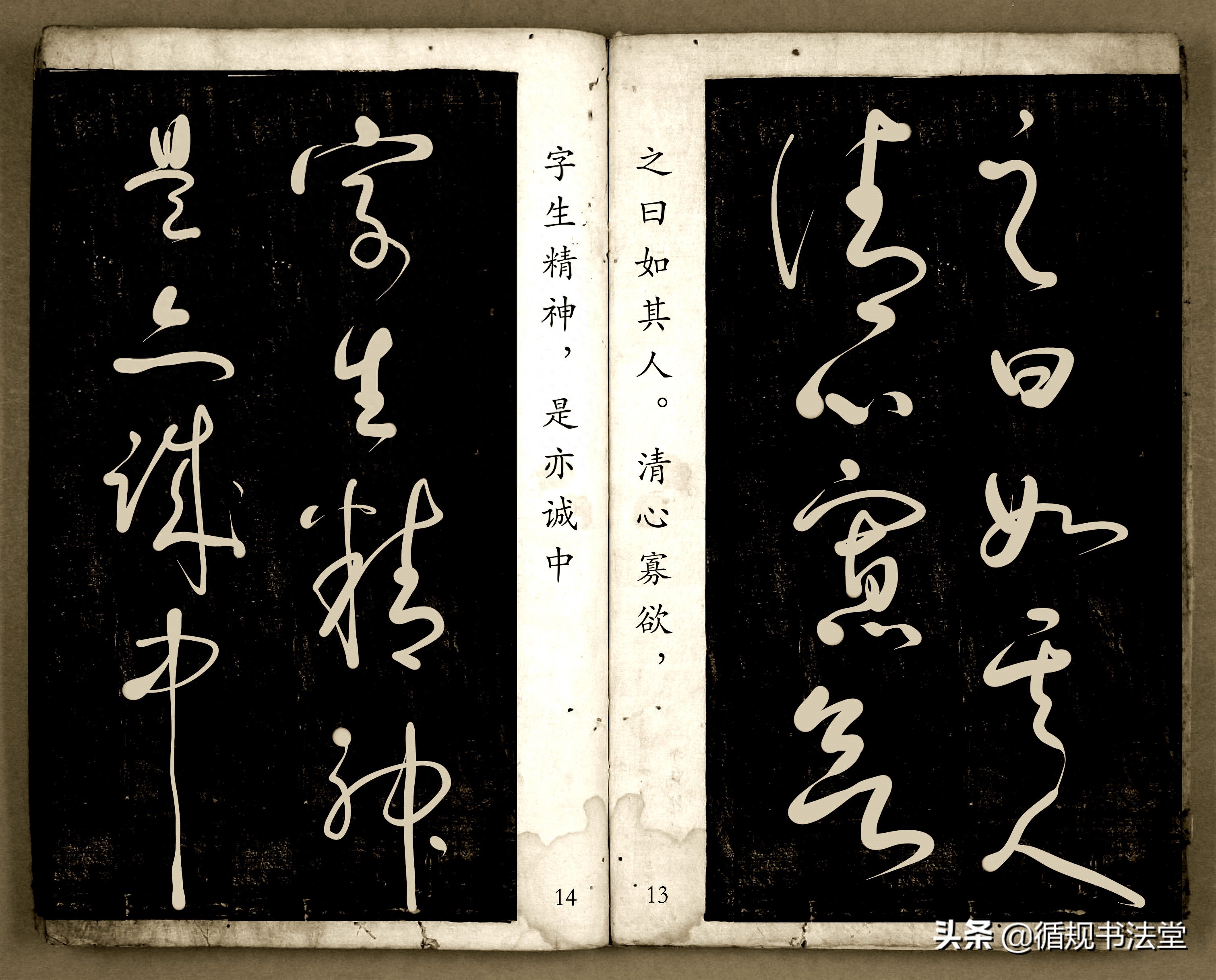 书法爱好者首选读物:高进原版草书集《书法金句100句》,非常棒(图8) 书法爱好者首选读物:高进原版草书集《书法金句100句》,非常棒(图8)