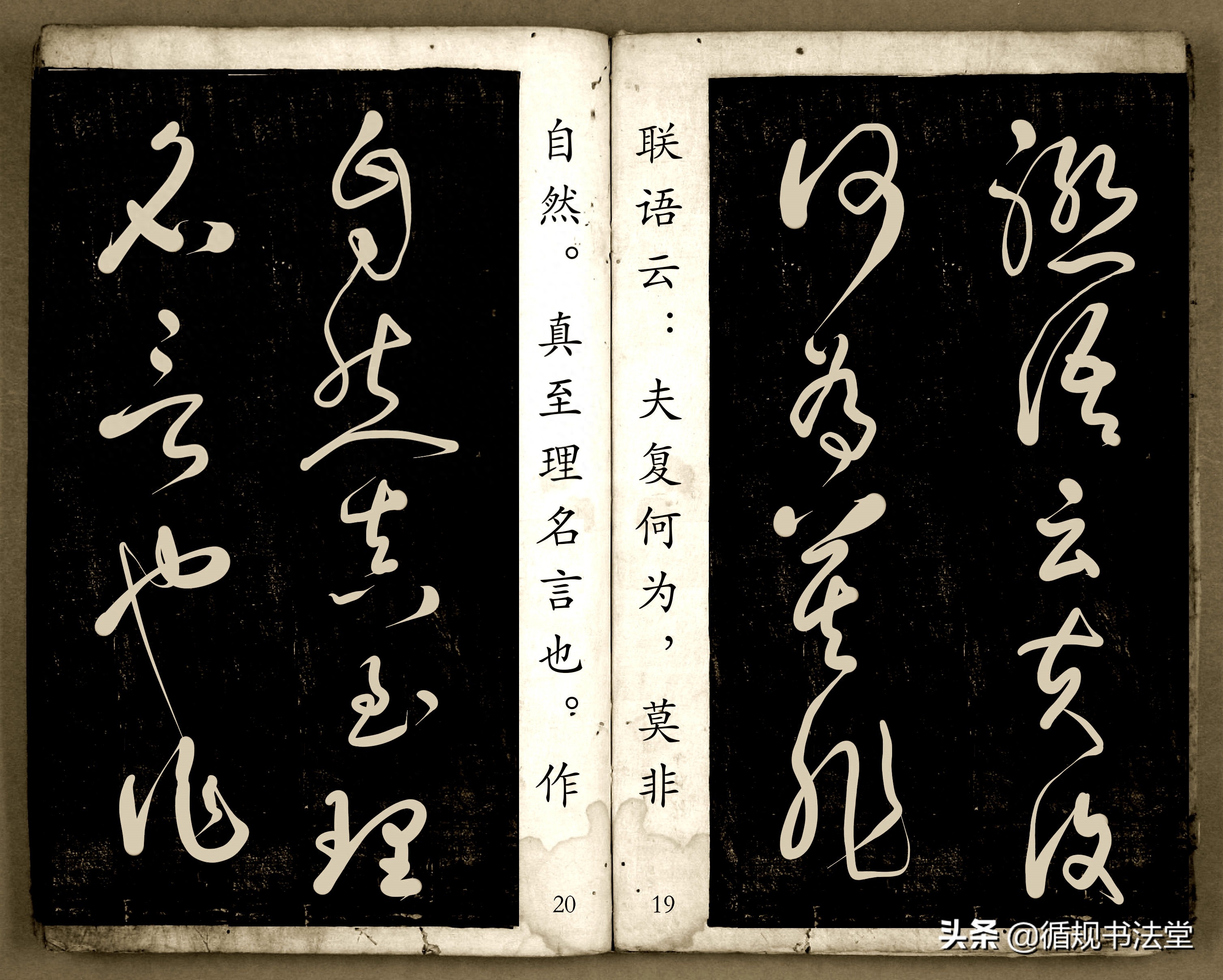 书法爱好者首选读物:高进原版草书集《书法金句100句》,非常棒(图11) 书法爱好者首选读物:高进原版草书集《书法金句100句》,非常棒(图11)