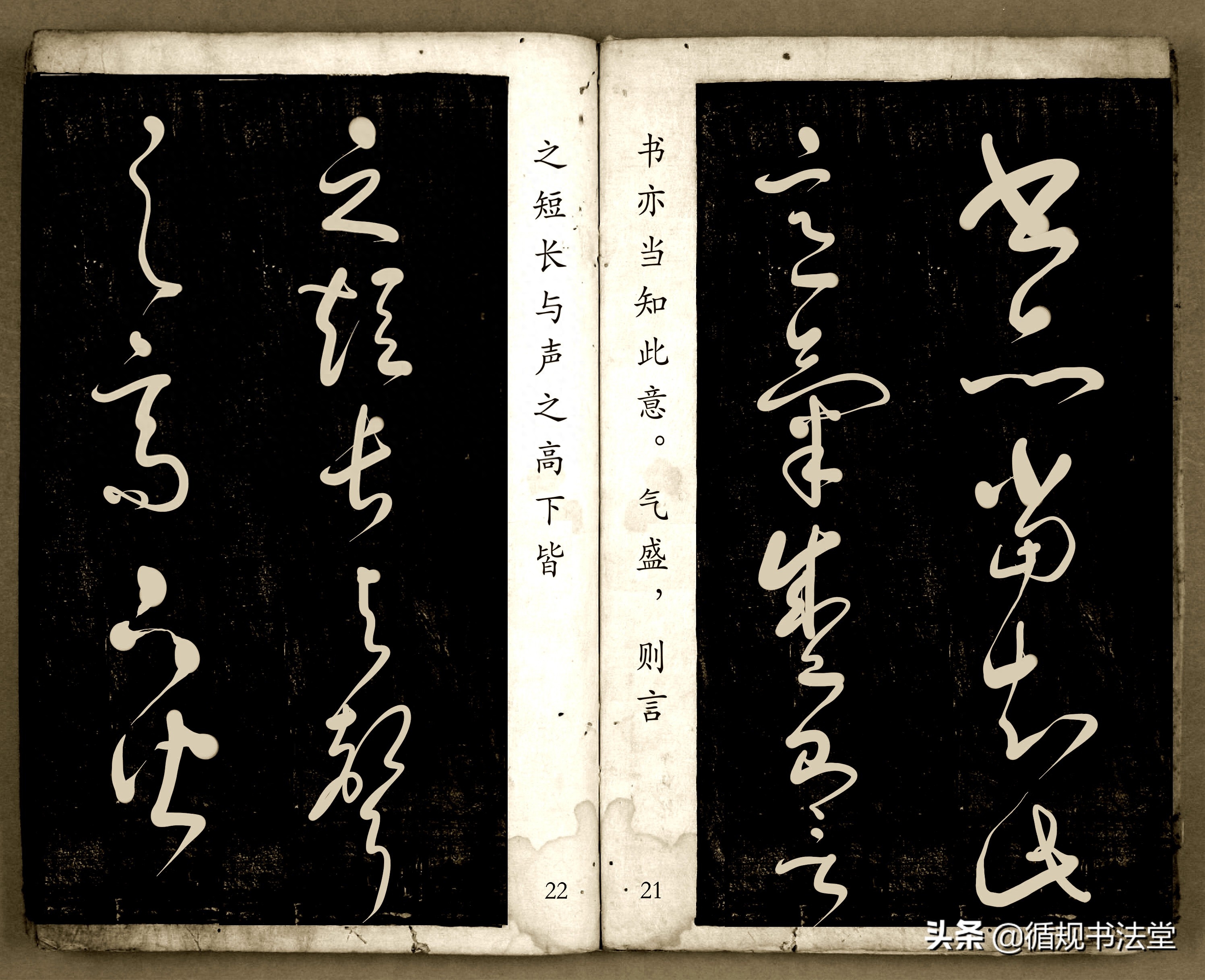 书法爱好者首选读物:高进原版草书集《书法金句100句》,非常棒(图12) 书法爱好者首选读物:高进原版草书集《书法金句100句》,非常棒(图12)