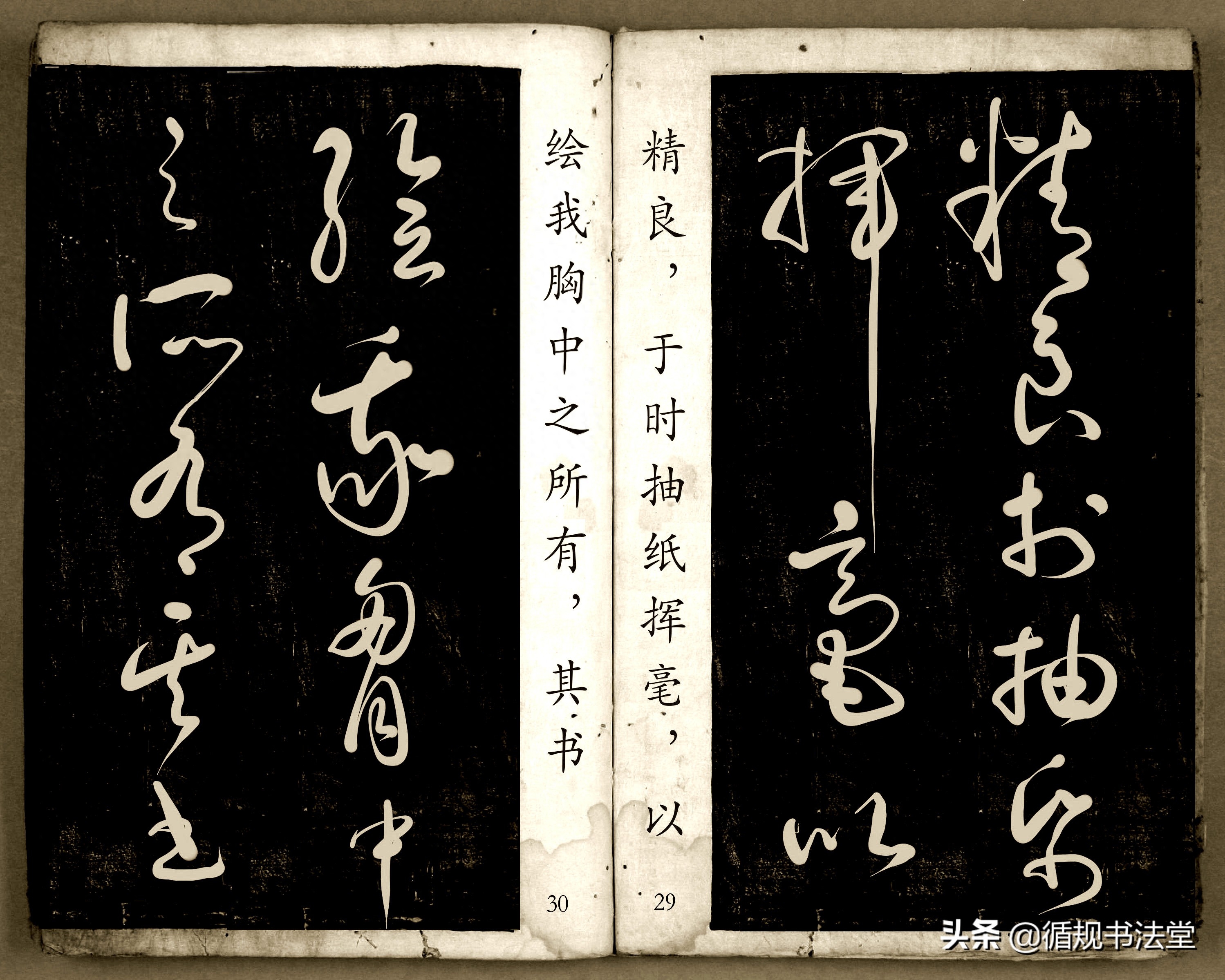 书法爱好者首选读物:高进原版草书集《书法金句100句》,非常棒(图16) 书法爱好者首选读物:高进原版草书集《书法金句100句》,非常棒(图16)