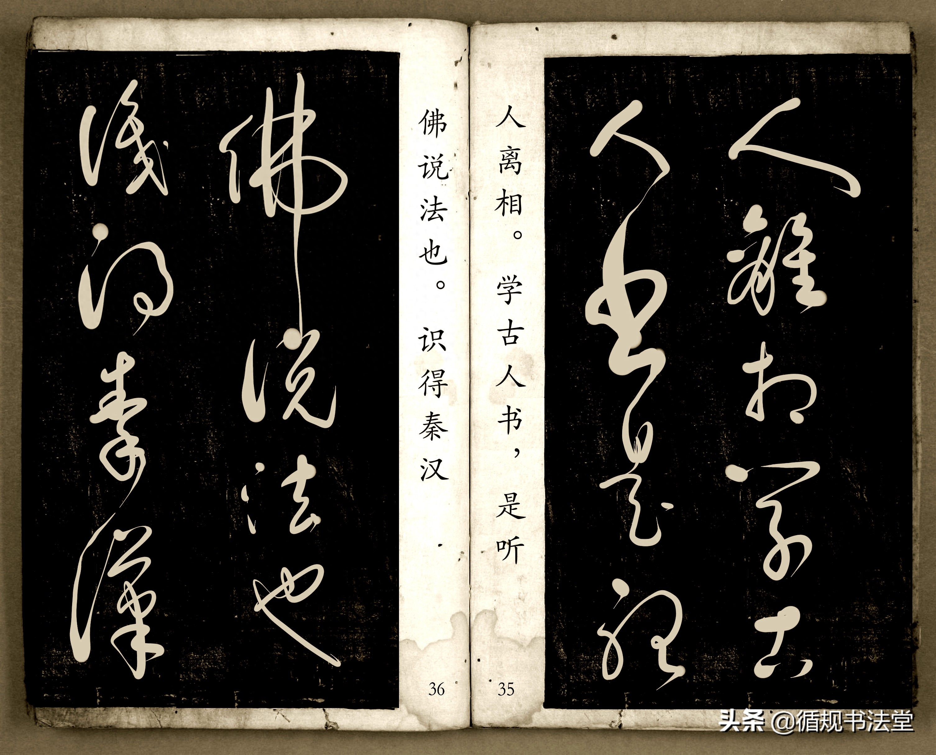 书法爱好者首选读物:高进原版草书集《书法金句100句》,非常棒(图19) 书法爱好者首选读物:高进原版草书集《书法金句100句》,非常棒(图19)