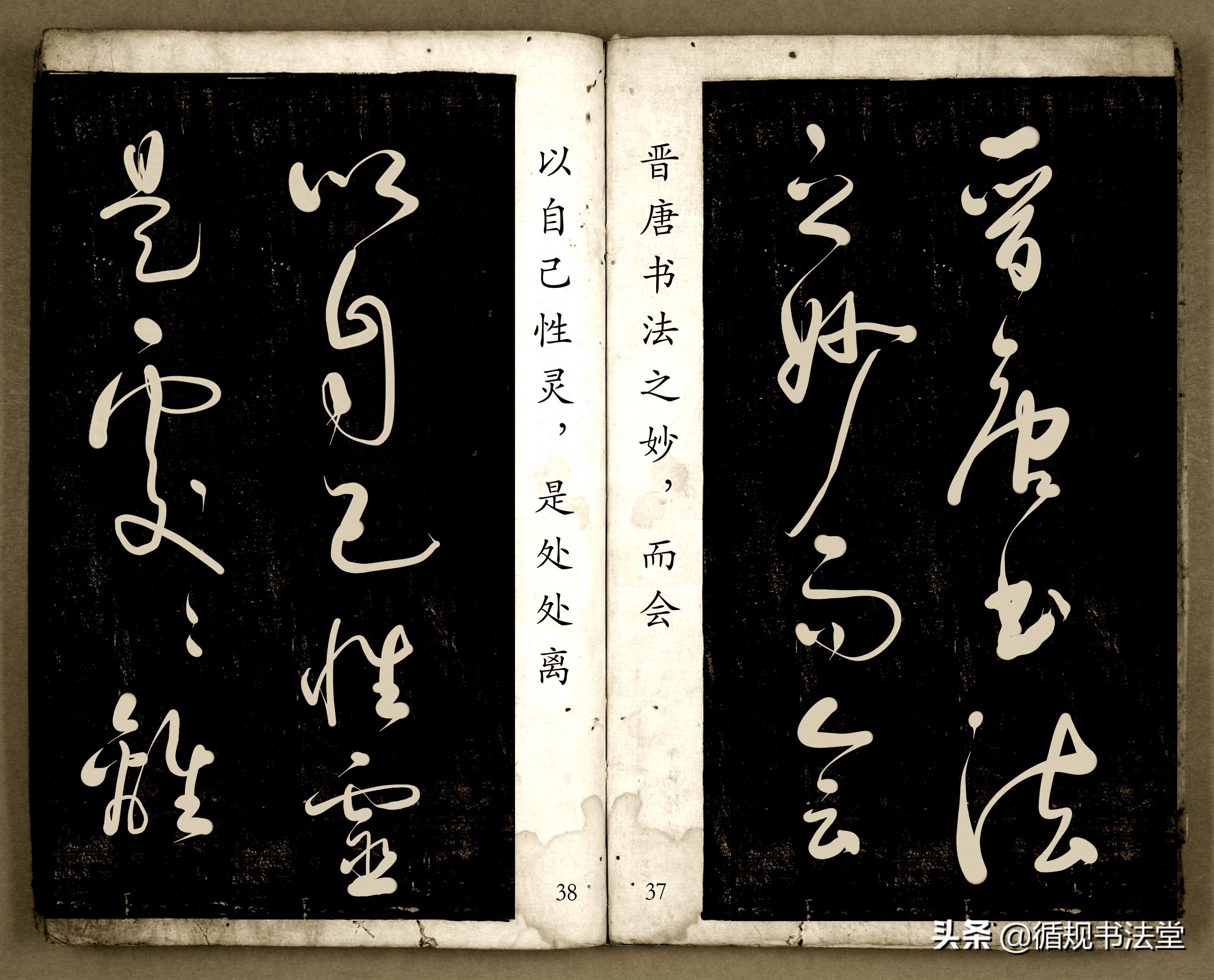 书法爱好者首选读物:高进原版草书集《书法金句100句》,非常棒(图20) 书法爱好者首选读物:高进原版草书集《书法金句100句》,非常棒(图20)