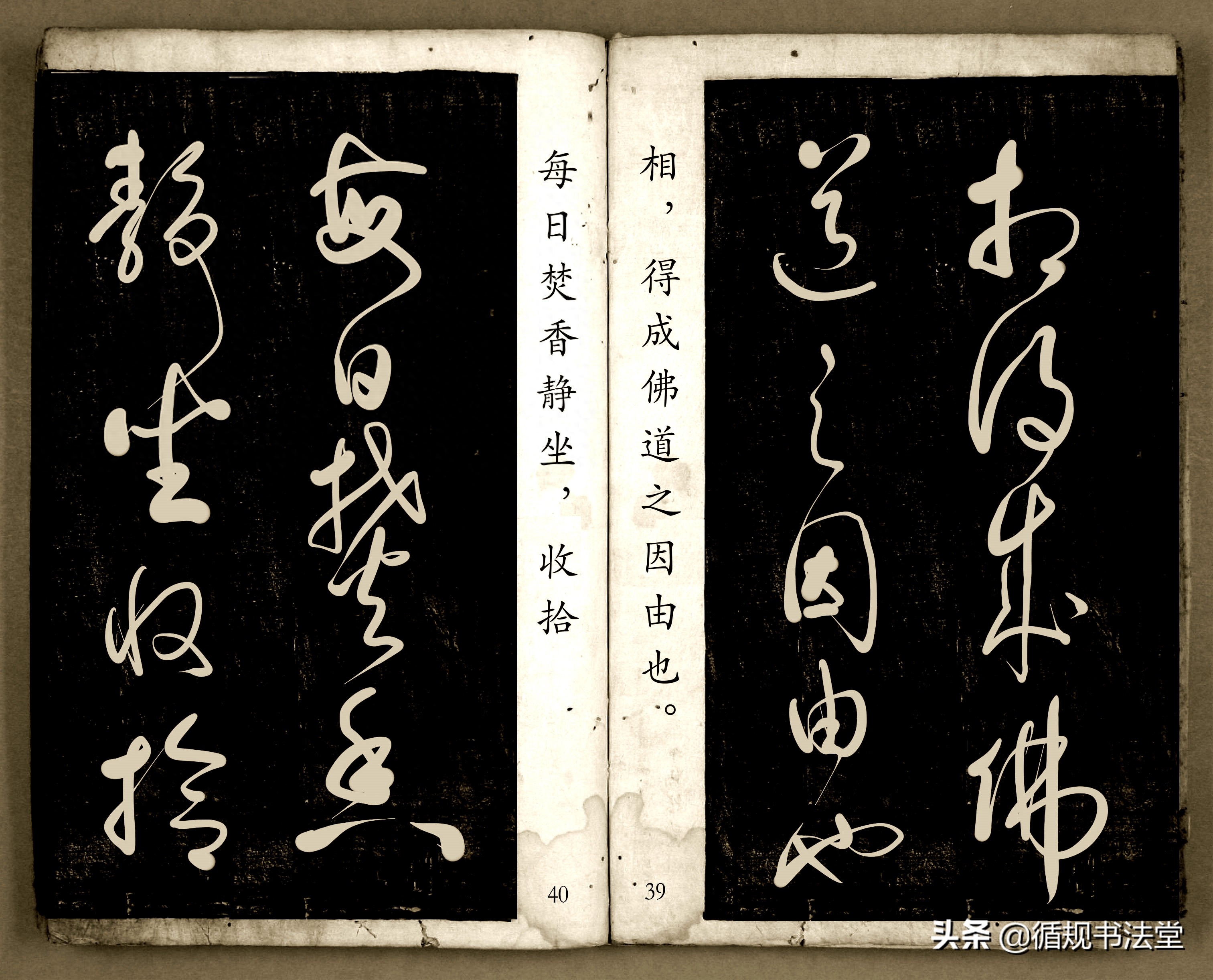 书法爱好者首选读物:高进原版草书集《书法金句100句》,非常棒(图21) 书法爱好者首选读物:高进原版草书集《书法金句100句》,非常棒(图21)