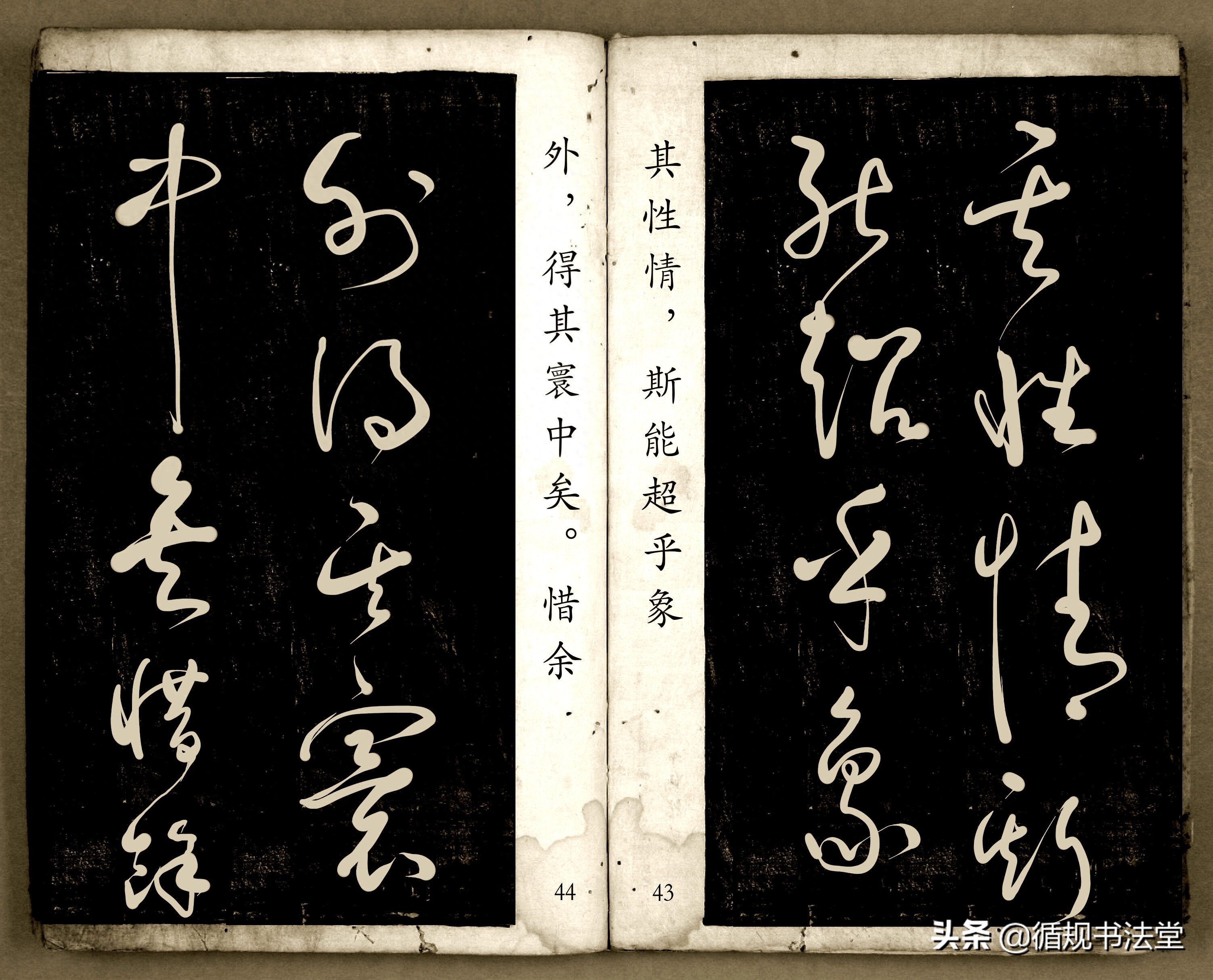 书法爱好者首选读物:高进原版草书集《书法金句100句》,非常棒(图23) 书法爱好者首选读物:高进原版草书集《书法金句100句》,非常棒(图23)