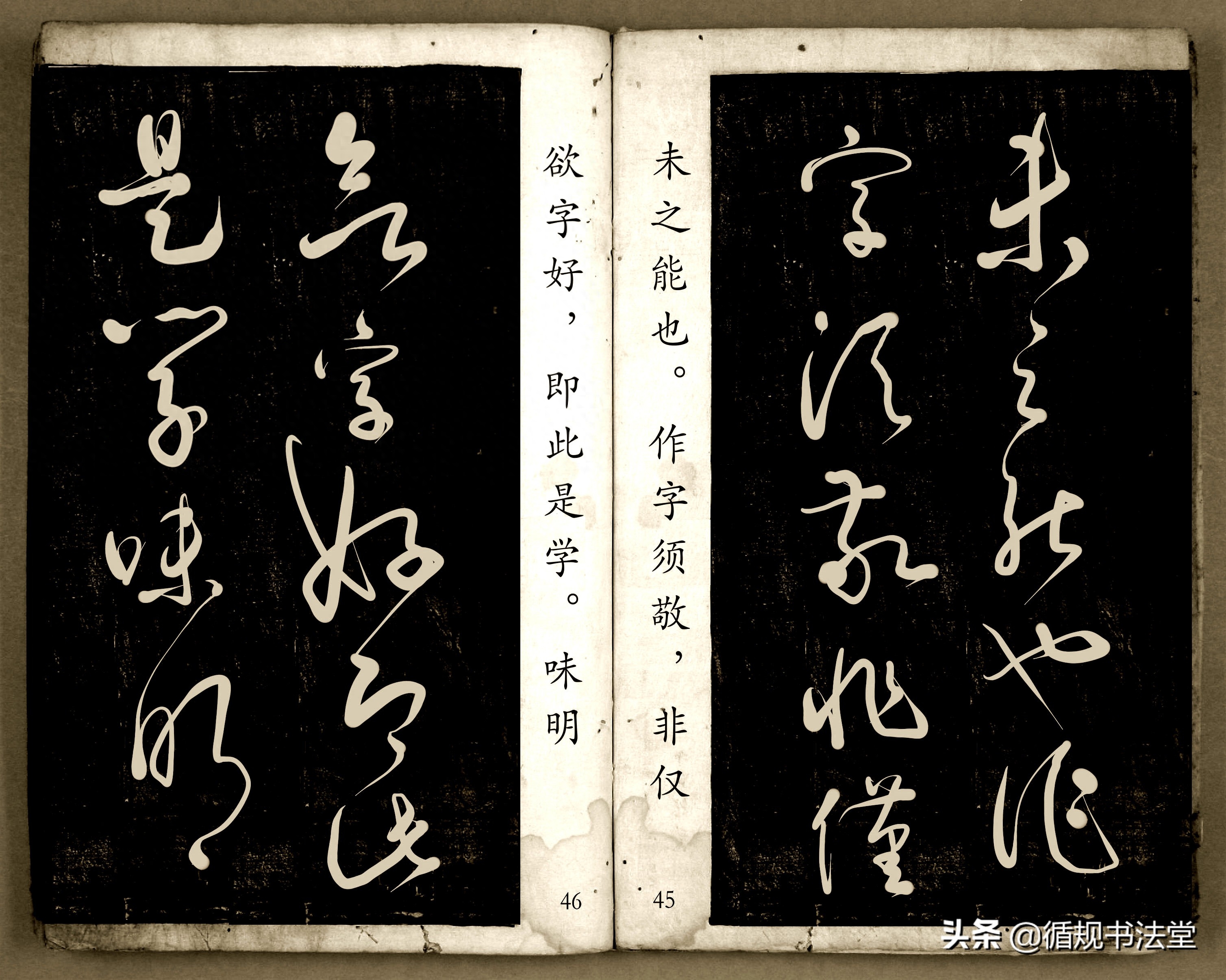 书法爱好者首选读物:高进原版草书集《书法金句100句》,非常棒(图24) 书法爱好者首选读物:高进原版草书集《书法金句100句》,非常棒(图24)