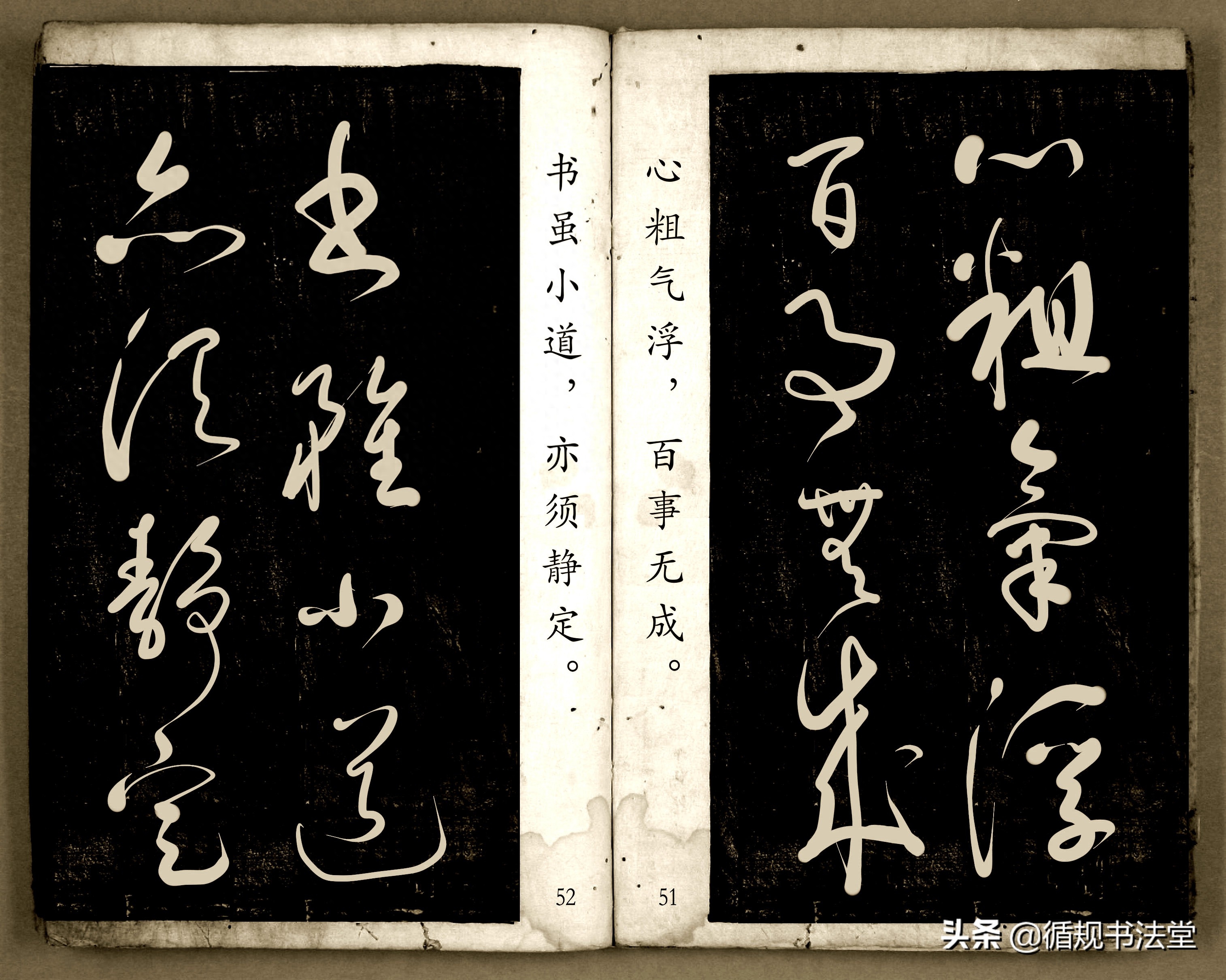 书法爱好者首选读物:高进原版草书集《书法金句100句》,非常棒(图27) 书法爱好者首选读物:高进原版草书集《书法金句100句》,非常棒(图27)