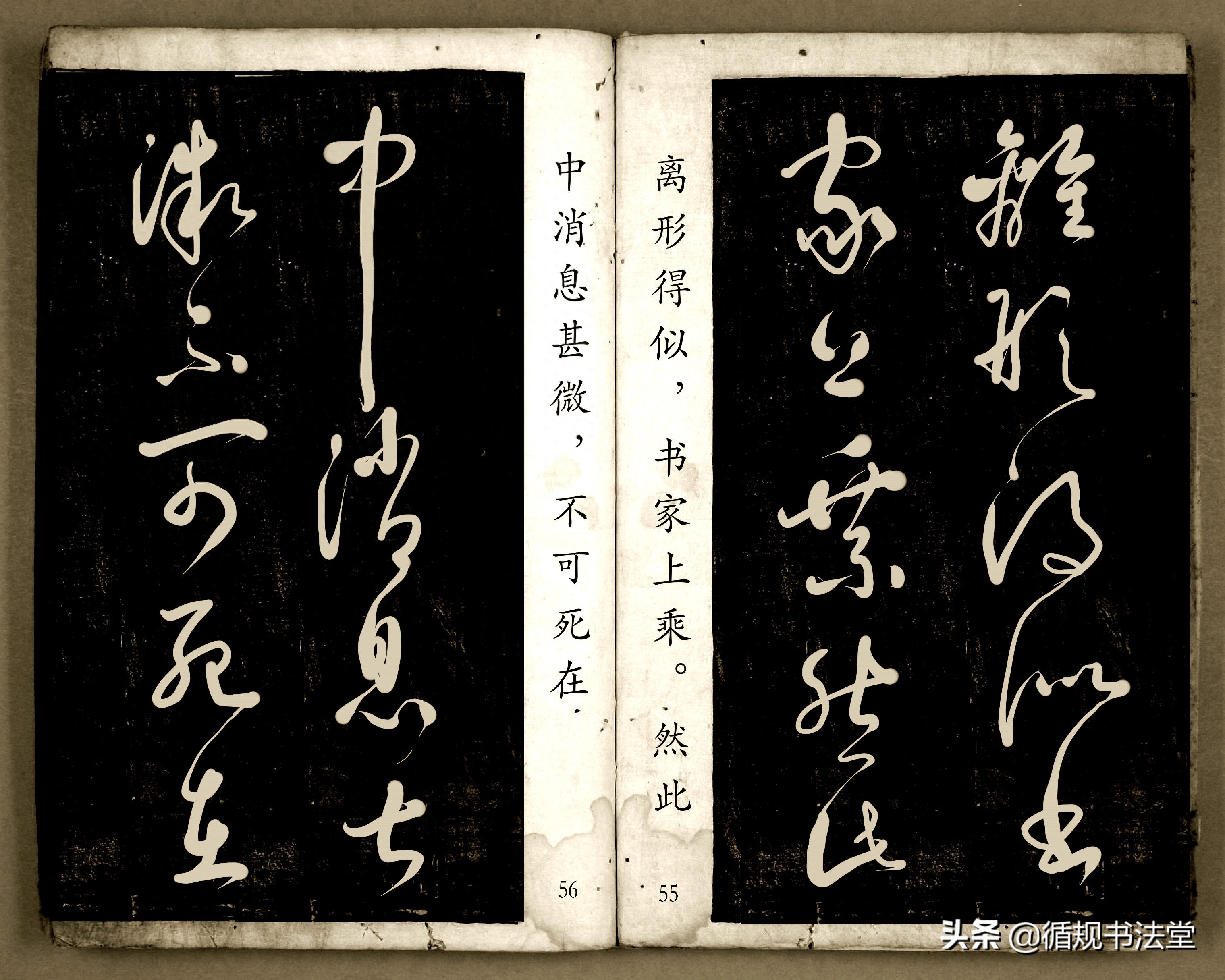 书法爱好者首选读物:高进原版草书集《书法金句100句》,非常棒(图29) 书法爱好者首选读物:高进原版草书集《书法金句100句》,非常棒(图29)