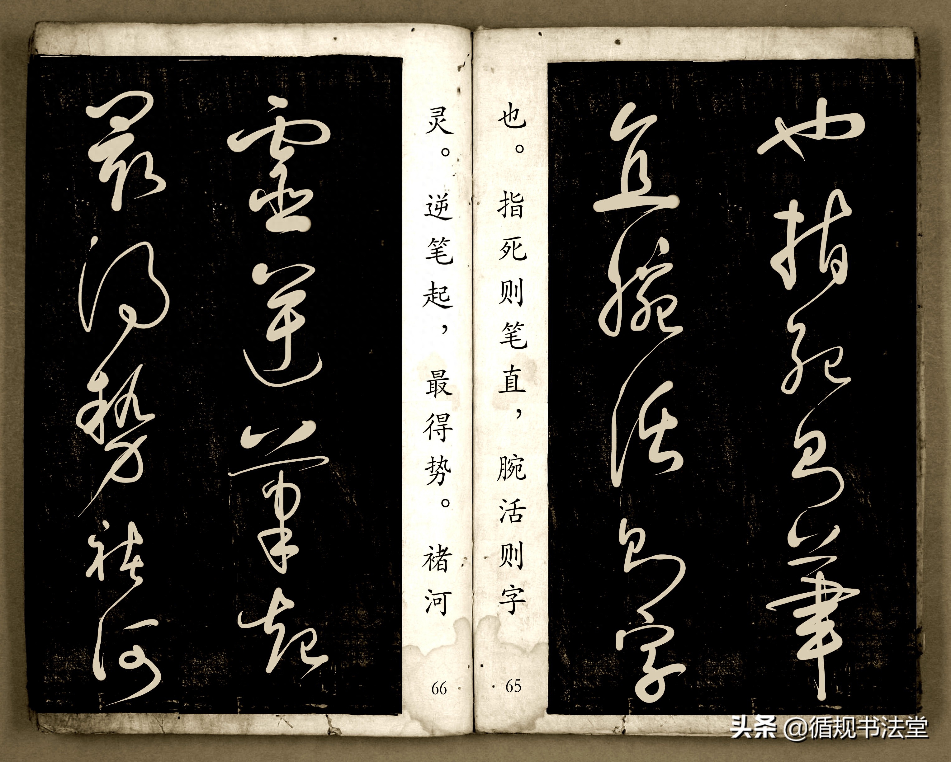 书法爱好者首选读物:高进原版草书集《书法金句100句》,非常棒(图34) 书法爱好者首选读物:高进原版草书集《书法金句100句》,非常棒(图34)