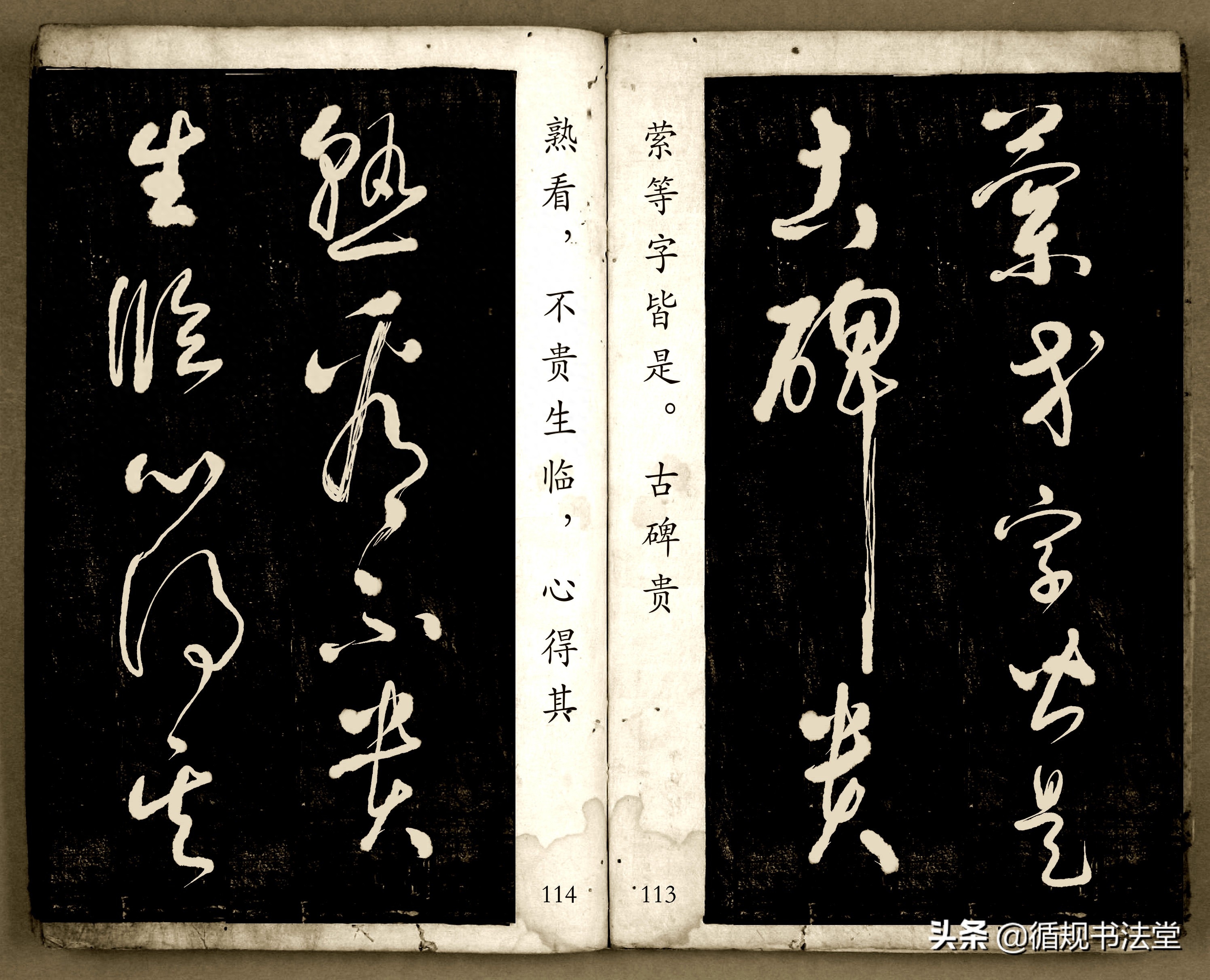 书法爱好者首选读物:高进原版草书集《书法金句100句》,非常棒(图57) 书法爱好者首选读物:高进原版草书集《书法金句100句》,非常棒(图57)