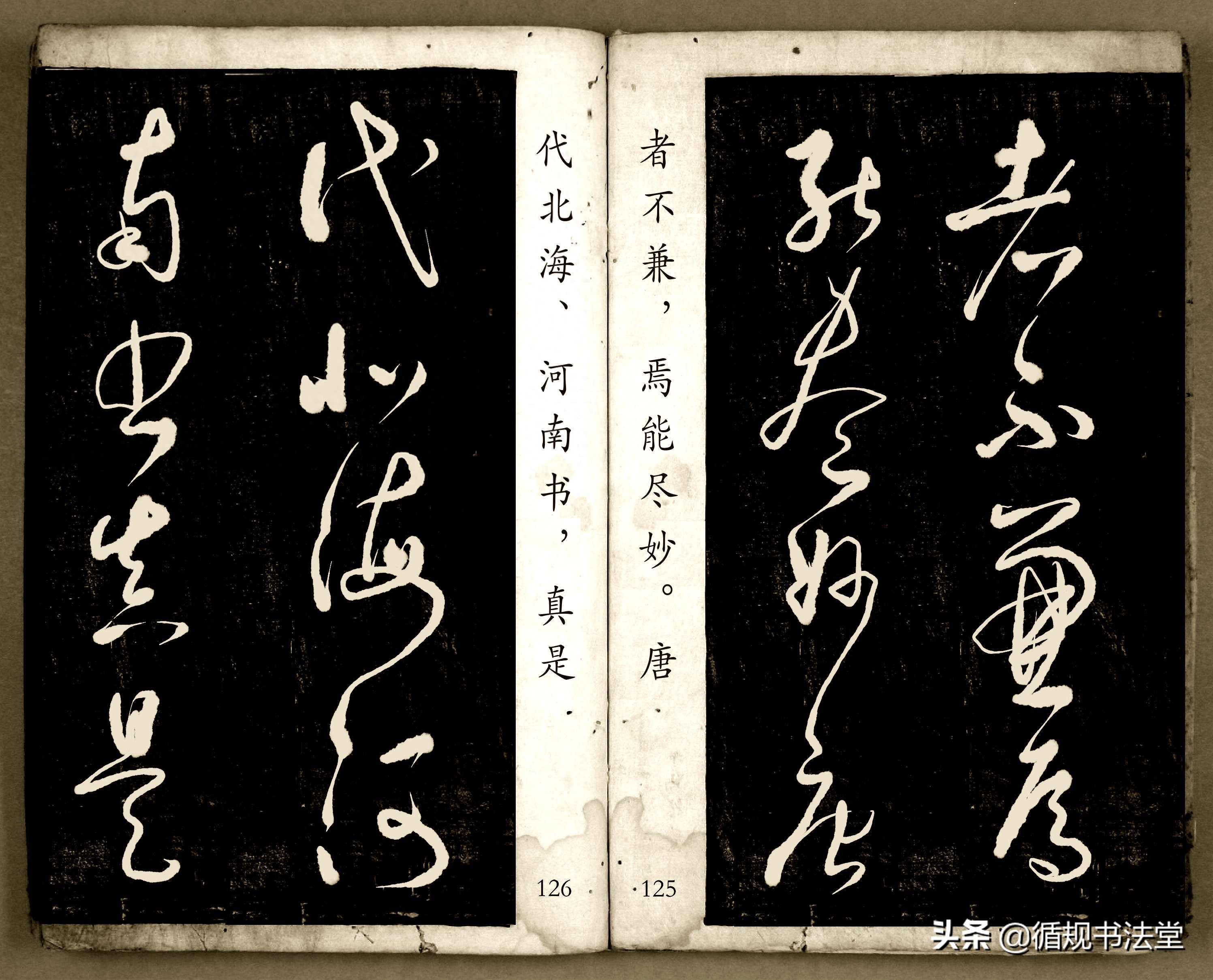 书法爱好者首选读物:高进原版草书集《书法金句100句》,非常棒(图63) 书法爱好者首选读物:高进原版草书集《书法金句100句》,非常棒(图63)