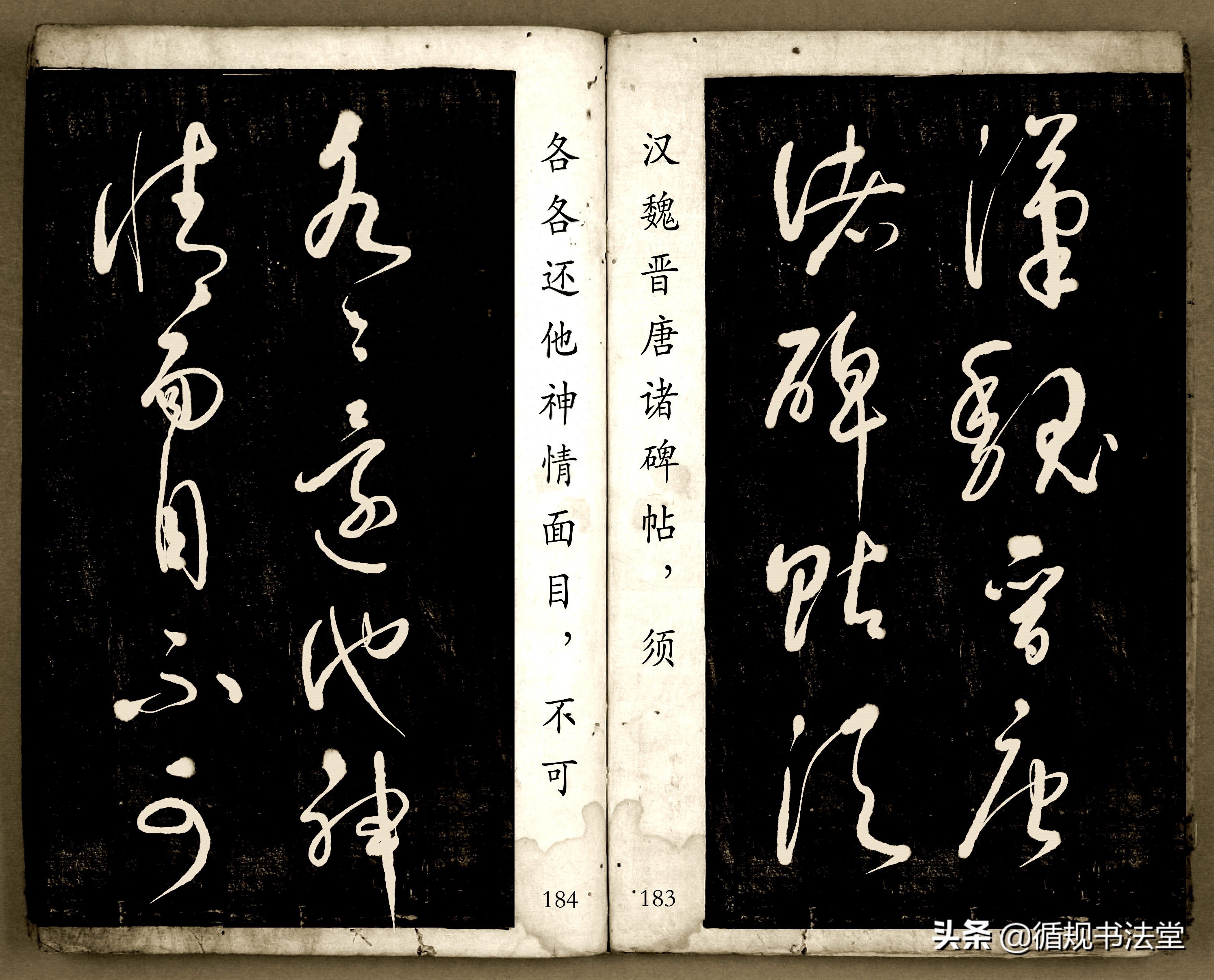 书法爱好者首选读物:高进原版草书集《书法金句100句》,非常棒(图92) 书法爱好者首选读物:高进原版草书集《书法金句100句》,非常棒(图92)